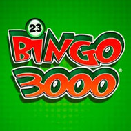Bingo 3000